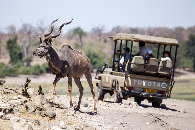 Five-Day Hwange NP, Chobe NP and Victoria Falls Combo - Day 5: flexible morning, then airport transfer based on your flight