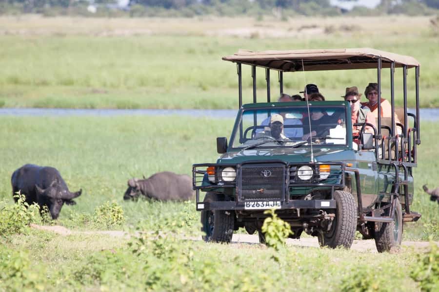 From Kasane: Chobe National Park Full Day Wildlife Safari - What’s included in the price, and how to budget for the real cost