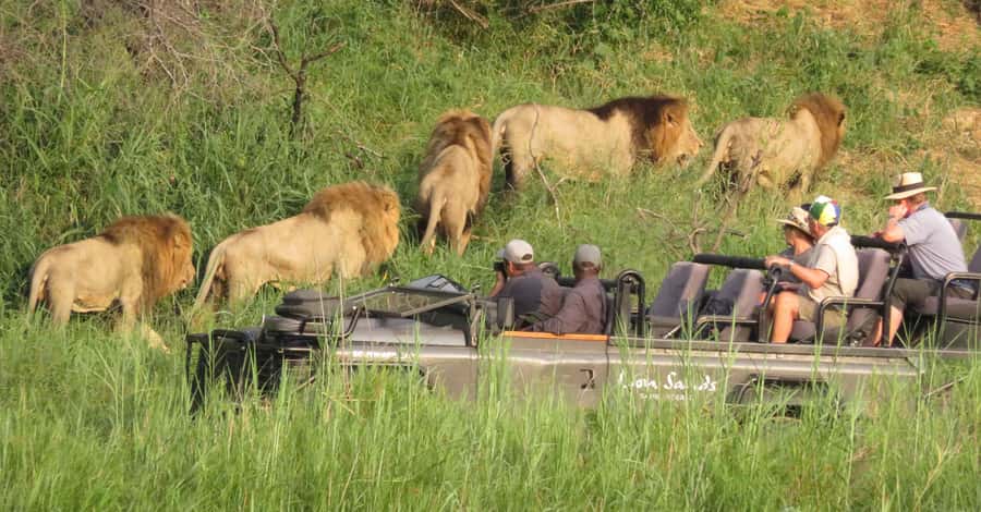 From Kasane: Chobe National Park Full Day Wildlife Safari - Chobe River cruise: where elephants own the shoreline