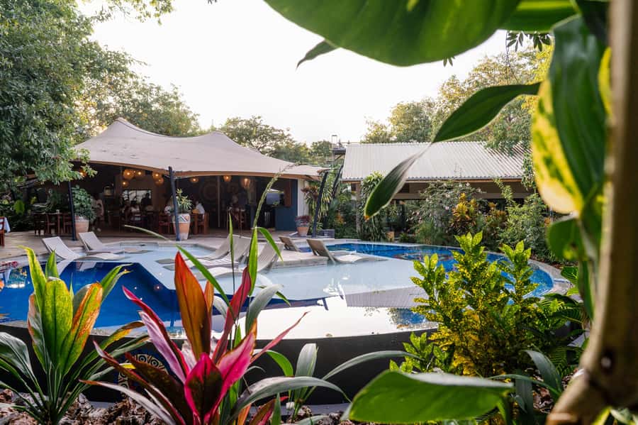 From Livingstone: Day Trip to Victoria Falls, Zimbabwe - Wildlife, Geology, and Local History, Explained as You Go