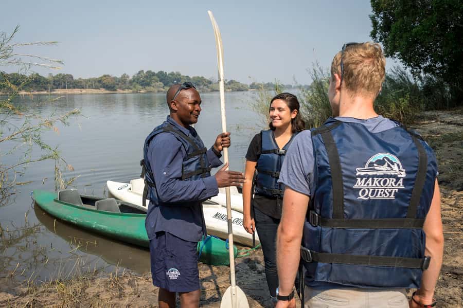 From Livingstone: Full or Half Day Canoe Safari - Wildlife spotting at water level, elephants to hippo pools