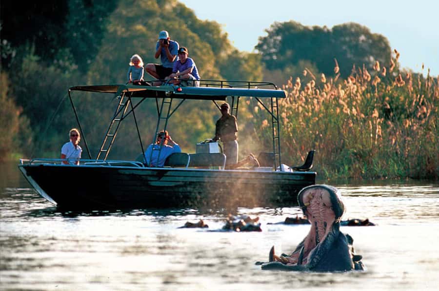 From Livingstone: Victoria Falls River Safari - Key Things to Know Before You Go
