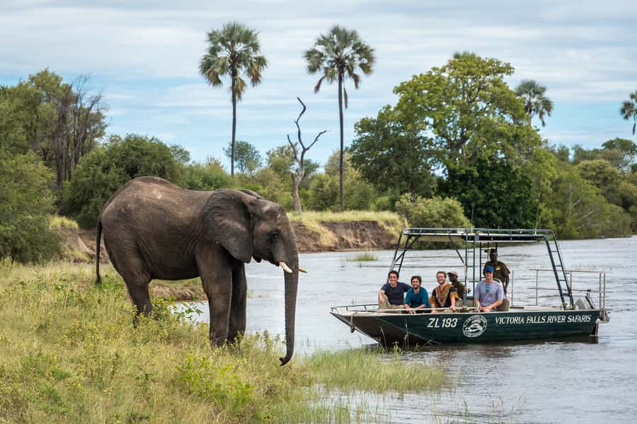 From Livingstone: Victoria Falls River Safari - Slow Cruise Around Islands for Game and Birds