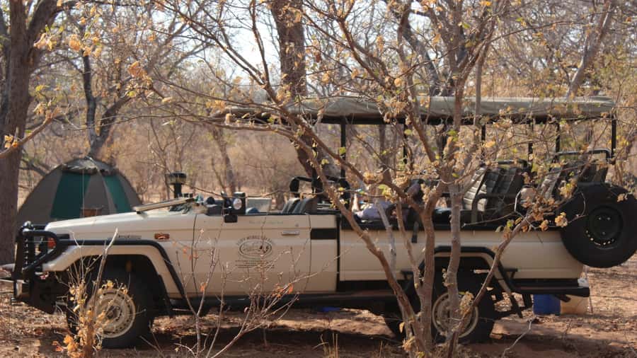 From Victoria Falls: Sunrise to Sunset Chobe Safari - Lunch at Chobe Safari Lodge, a break that actually fuels the afternoon