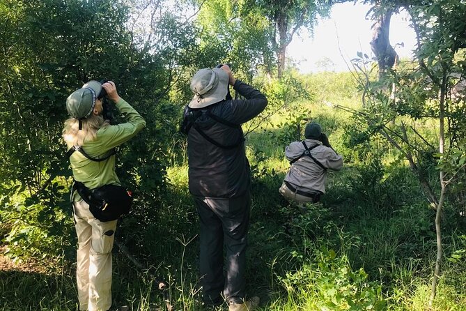 Full Day Birding Zambezi National Park Includes Picnic Lunch - Key Birding Highlights You Can Plan Around