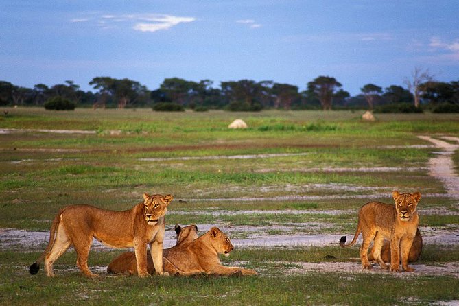 Full Day Hwange Day Trip - Key Points That Make This Hwange Day Trip Worth It