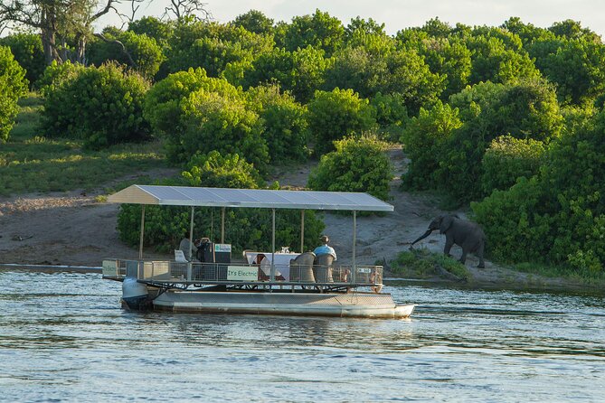 Full-Day Safari Chobe National Park and boat safari - Key things I’d watch for on this Chobe day trip