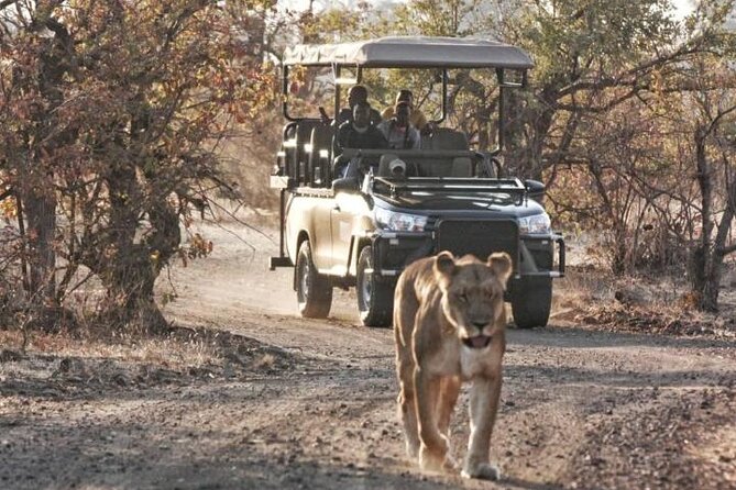 Full-Day Zimbabwe Zambezi National Park Safari & Lunch - Chamabondo Vlei: The Second Habitat That Can Completely Change Your Day