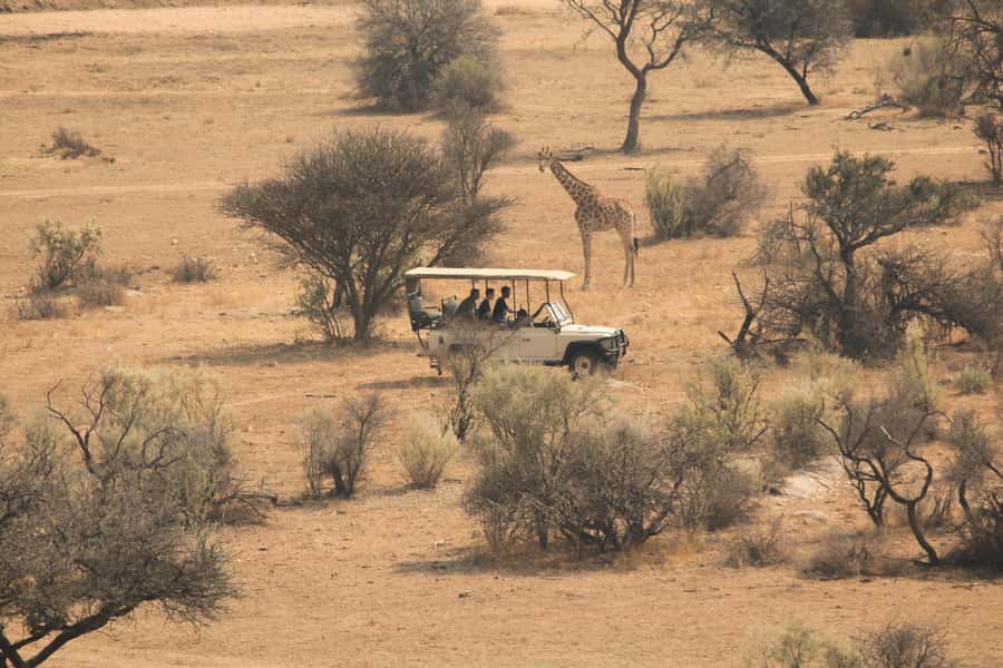 Game drive in Victoria Falls - Zambezi National Park near Victoria Falls: what this 3-hour ride is really about