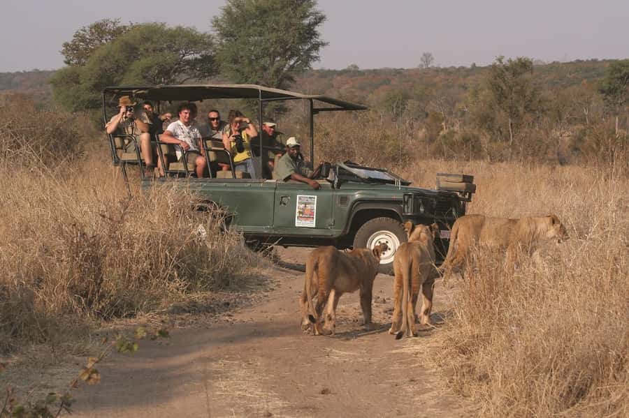 Game drive in Victoria Falls - What you really get for the $100 price, plus the park fees