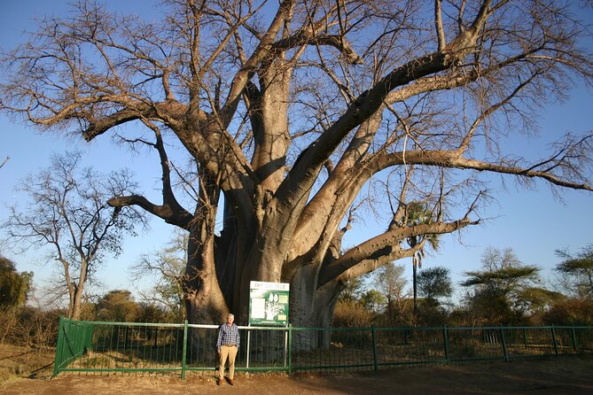 Guided 4x4 Town Safari in Victoria Falls - Chinotimba Township: Seeing Everyday Life Without Needing to Push In