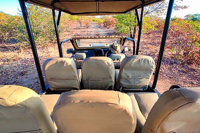 Guided 4x4 Town Safari in Victoria Falls - Who This Tour Fits Best, and Who Might Skip It