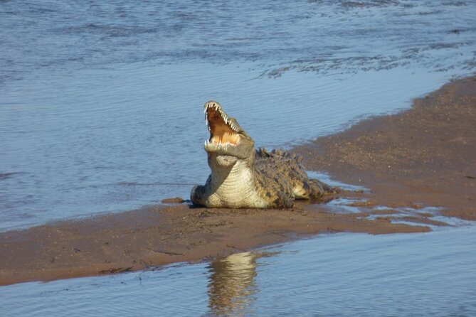 Guided Falls Tour & Zambezi River Cruise Combo - Getting There and Logistics That Matter