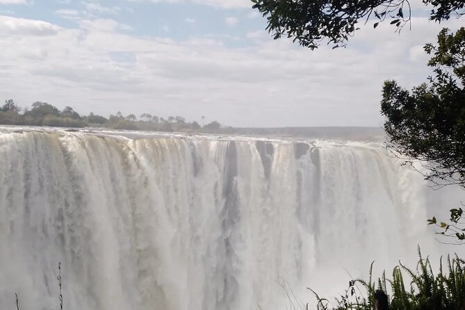 Guided Tour of the Falls - Timing and tour slots: choosing the 08h00, 10h00, 12h00, or 15h00 window