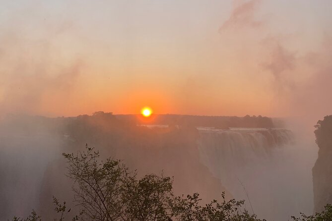 Guided Tour of the Falls Rainforest - Key highlights that make this tour worth it
