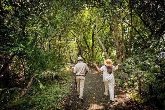 Guided Tour of the Falls Rainforest - What you see near Victoria Falls, mist, greenery, and a few wow facts