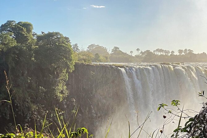Guided Tour of the Falls Rainforest - How the tour fits different trip styles and group types