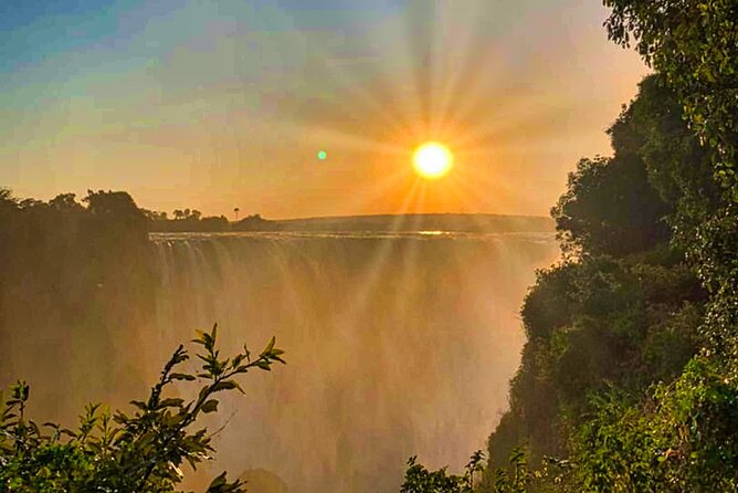 Guided Tour of the Falls Rainforest - Price and value, $25 for transport plus a guided rainforest visit