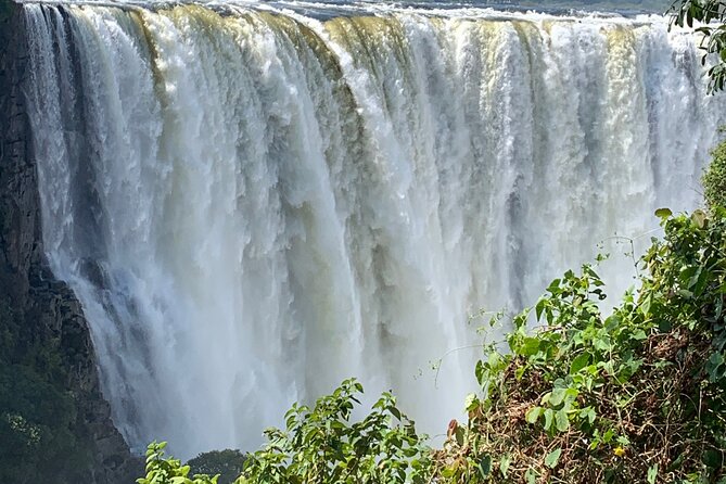 Guided Tour of the Falls Rainforest - Hotel pickup and private transport, why the start matters