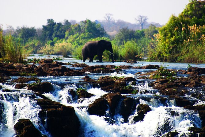 Guided Tour of the Falls (ZIM side) Wildlife Safari, by Savannah - Why the Zim-side Falls tour feels different