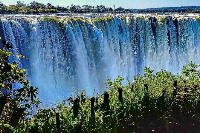 Guided Tour of the Falls (ZIM side) Wildlife Safari, by Savannah - Entering the rain forest at Victoria Falls