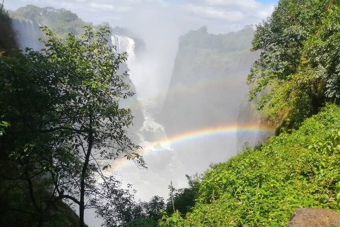 Guided Tour of the Falls (Zimbabwe side) - Rainforest Mist Time: What It Feels Like and What to Wear