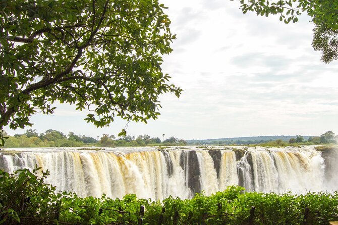 Guided Tour of the Falls (Zimbabwe side) - Price at $24: When This Fee Looks Like Value