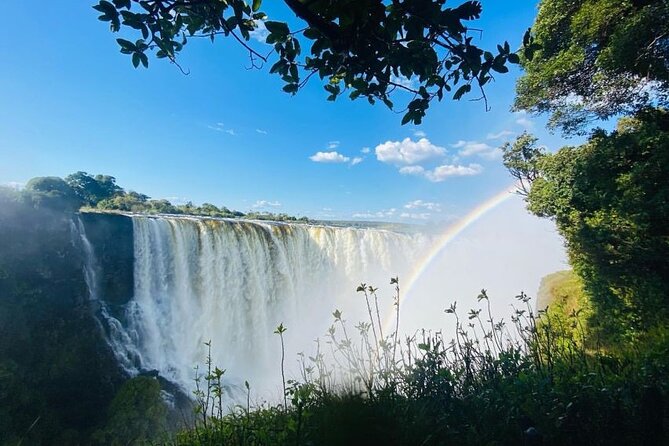 Guided Tour Of The Majestic Victoria Falls/Sunrise Tour - Livingston Island and the Devils Pool: how to get value from the time