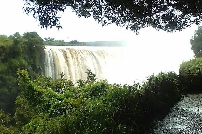 Guided Tour Of the Victoria Falls Zimbabwe - The Big Tree and the Short Scenic Park Drive