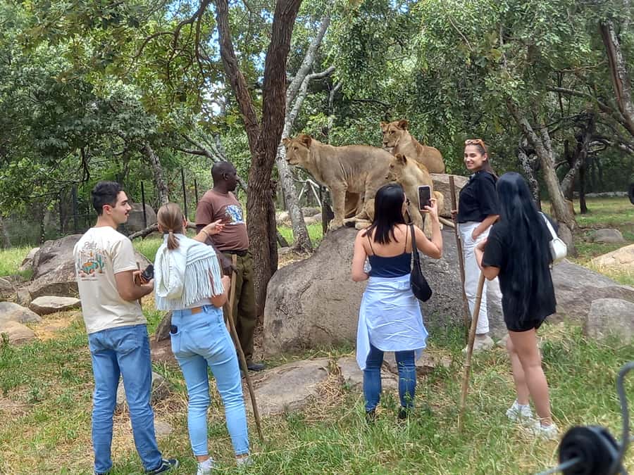 Harare: Half Day Outdoor Adventure - Key highlights worth packing for