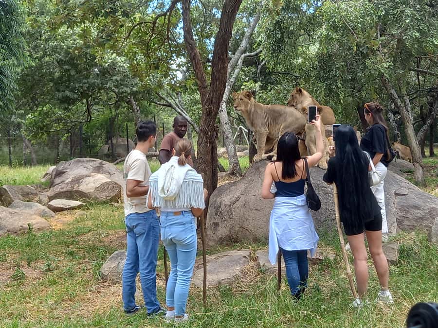 Harare: Half Day Outdoor Adventure - Harare In 4 to 5 Hours: The Smart City and Safari Blend