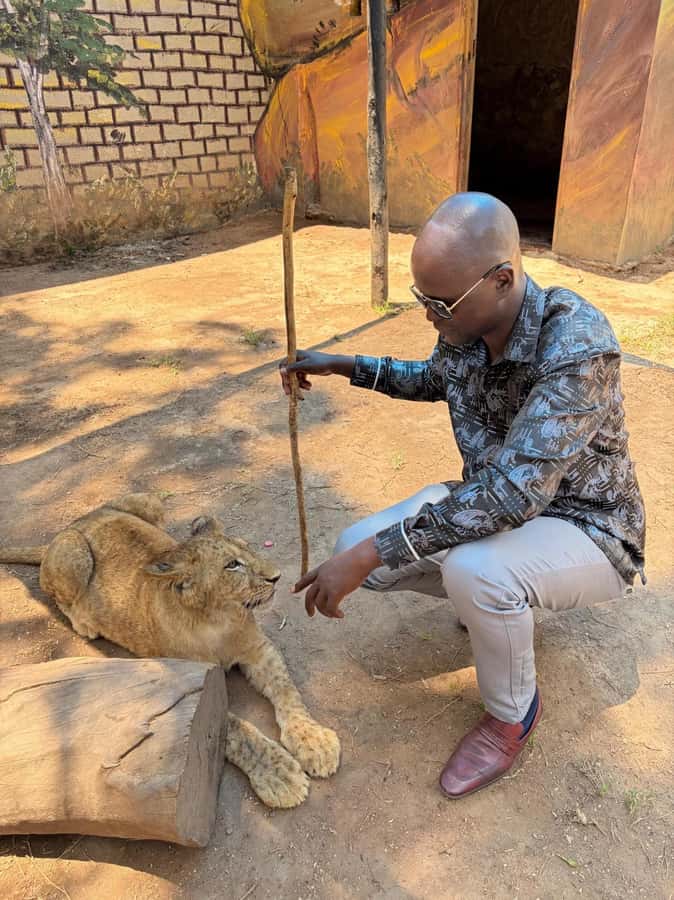 Harare: Half Day Outdoor Adventure - Lion Park Safari: Lions, Hyenas, and Rescued Animals With Conservation Talk