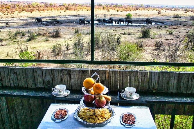 High Tea in the Savannah, Catering by Victoria Falls Hotel - Key points before you go