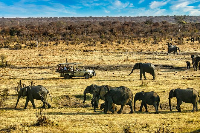 High Tea in the Savannah, Catering by Victoria Falls Hotel - Sunset return through the Savannah: the light show continues
