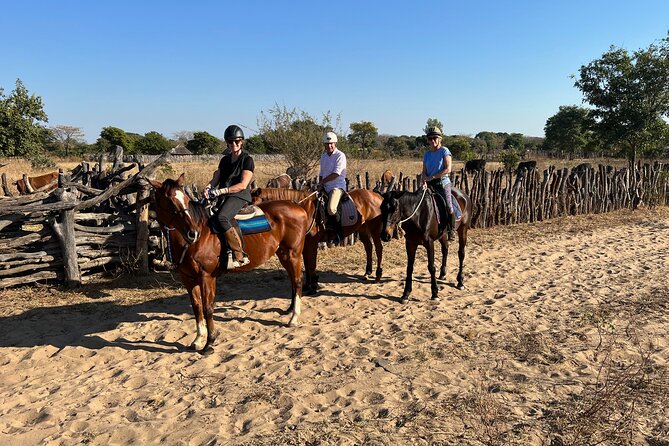 Horse Riding Community Village Tour Experience - Price and Value: What $135 Buys You in Victoria Falls