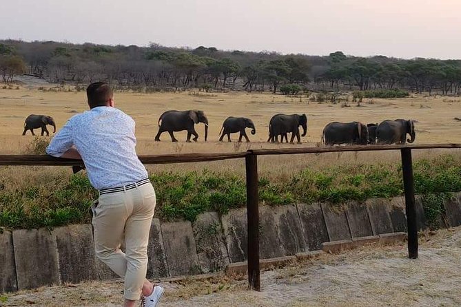Hwange 3 day Safari - Victoria Falls to Hwange: A 2:00 PM Start That Sets the Tone