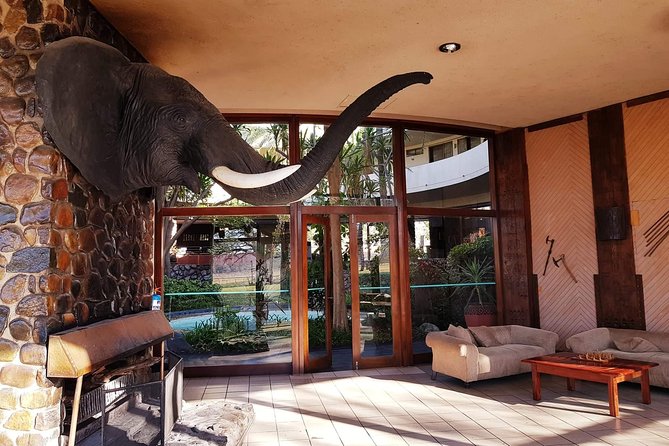 Hwange 3 day Safari - Day 1: First Game Drive, First Night in Safari-Lodge Comfort