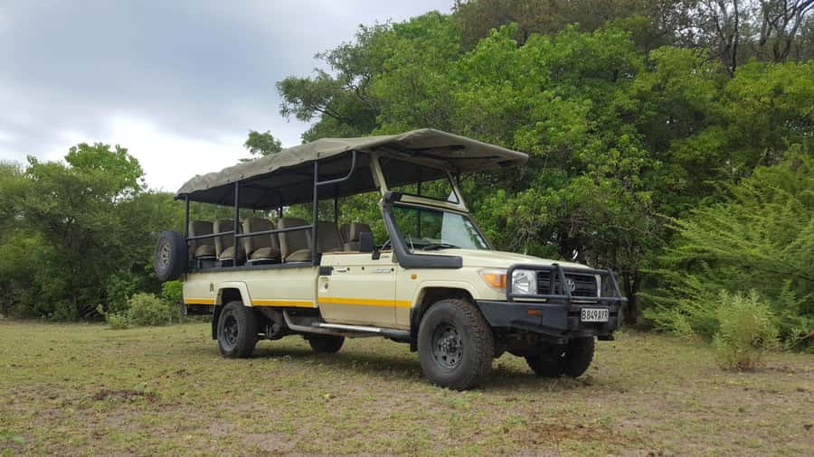 Hwange Big 5 Wildlife Safari – Day Trip from Victoria Falls - Hwyange National Park, the waterholes, and why this safari is built for sightings