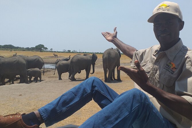 Hwange National Park Full Day Trip - Why Hwange works so well from Victoria Falls