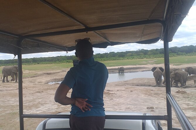 Hwange National Park Full Day Trip - Price and value: is $365 fair for a full-day Hwange safari?