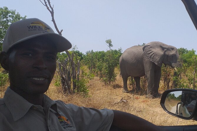 Hwange National Park Full Day Trip - What to pack and how to plan your day for wildlife viewing