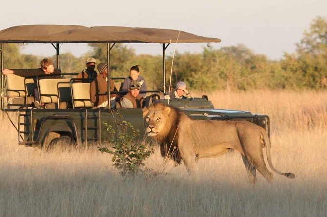 Hwange (Safari) Day Trip from Victoria Falls - 6:00am Pickup to Late Afternoon Return: How the Day Really Works
