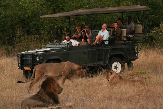 Hwange (Safari) Day Trip from Victoria Falls - Wildlife Is More Than One Spotlight Animal