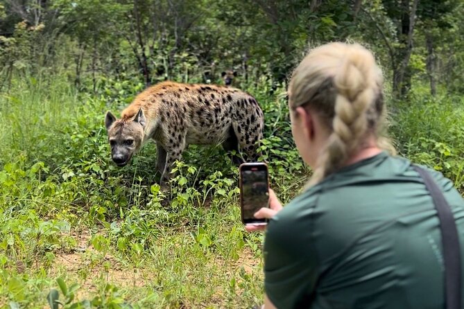 Lion & Wildlife Sanctuary Excursion Victoria Falls - Quick sense of the experience (and who it’s for)