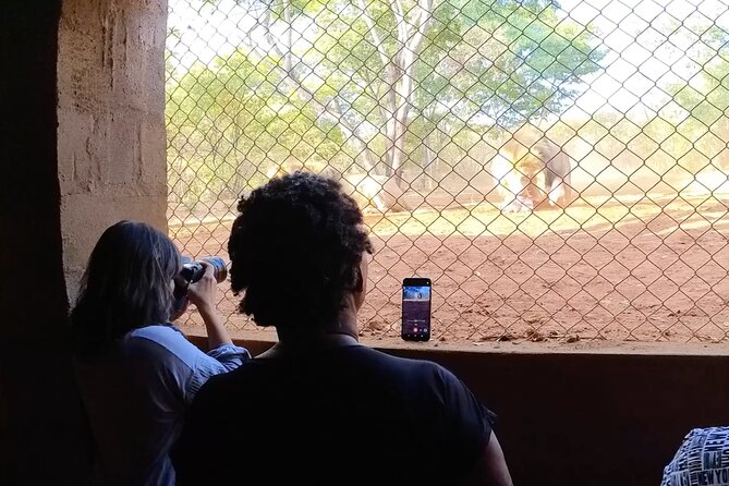 Lion & Wildlife Sanctuary Excursion Victoria Falls - Key highlights you can plan around