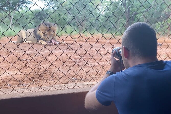 Lion & Wildlife Sanctuary Excursion Victoria Falls - Guide Liki and the conservation story you actually get to hear