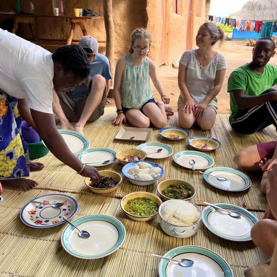 Livingstone: Amazing Traditional Village Tour - Price and what your $50 actually buys you