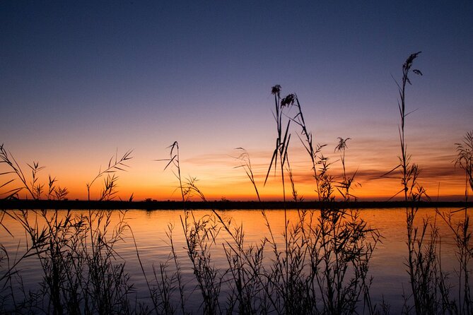 Luxury Sunset River Cruise on the Zambezi - Wildlife Spotting: Hippos, Elephants, and Crocodiles