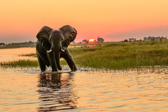 Luxury Sunset River Cruise on the Zambezi - Food and Drinks Included, and the Real Cost Breakdown