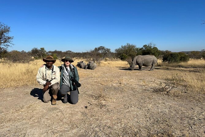 Matobo Rhino Encounter - Key things to know before you go
